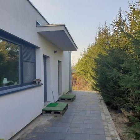 Maly Apartament W Zieleni Blisko Jeziora Środa Wielkopolska Dış mekan fotoğraf