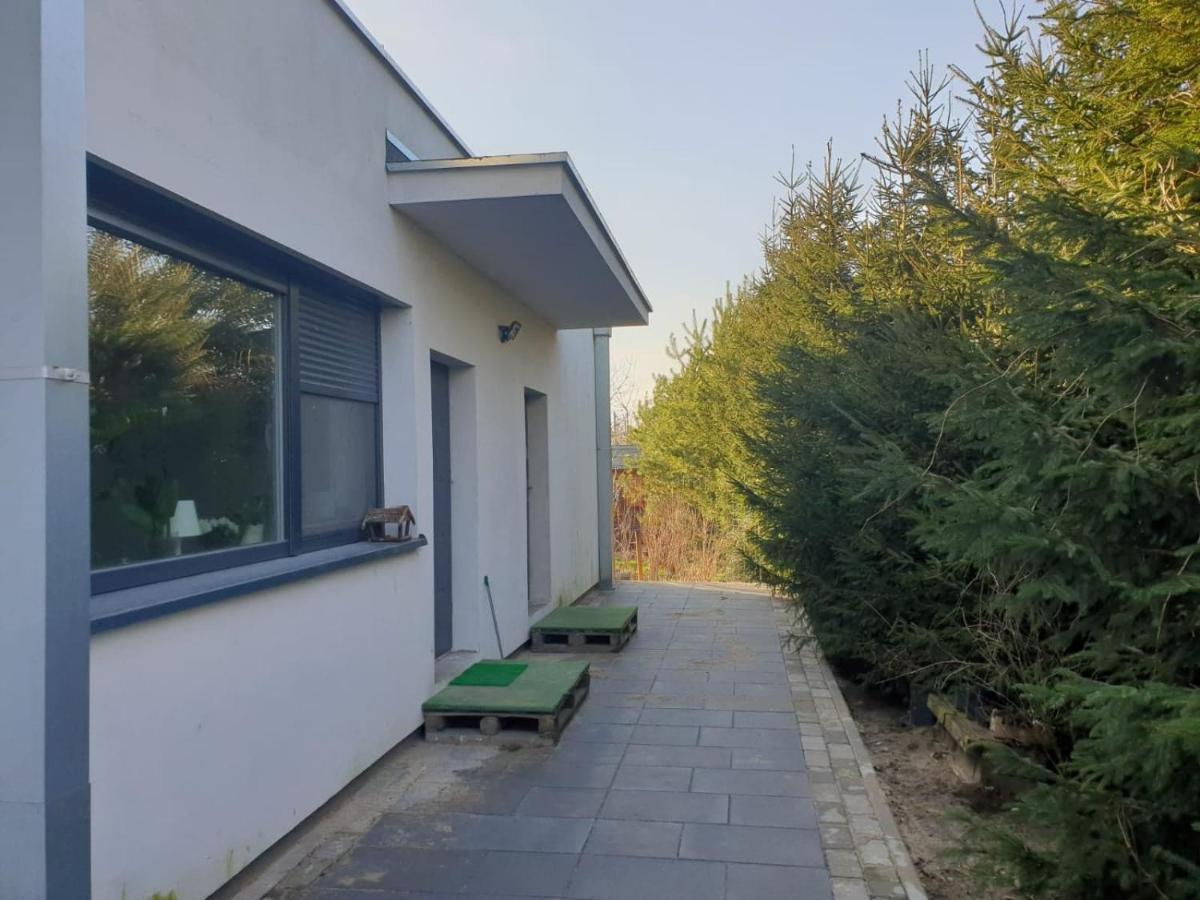 Maly Apartament W Zieleni Blisko Jeziora Środa Wielkopolska Dış mekan fotoğraf
